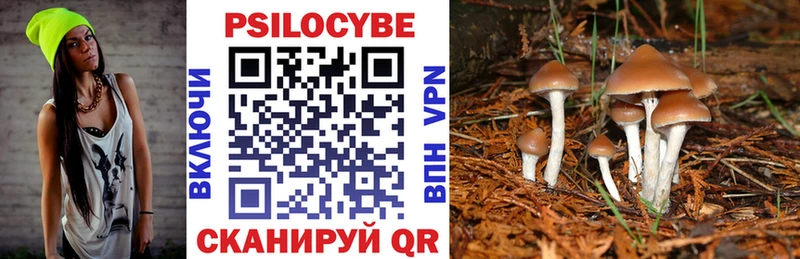 где купить наркотик  Заозёрск  Галлюциногенные грибы MAGIC MUSHROOMS 